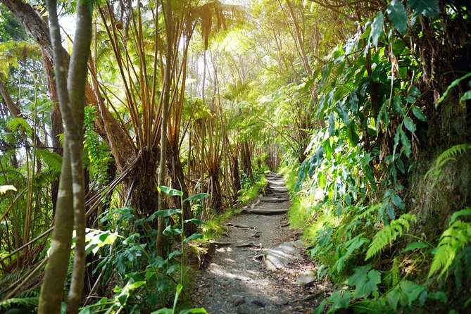 Volcanoes National Park: Guided, Small-Group Hike - FAQ