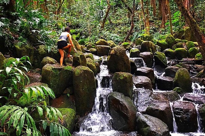 Wailua River & Waterfalls Kayak Tour: Expert-Guided Adventure - FAQs