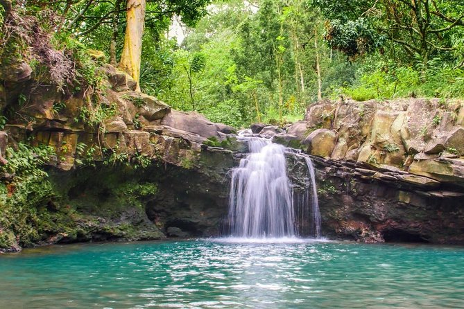 Waterfall & Rainforest Hiking Adventure with Hotel Pickup - Suitable For