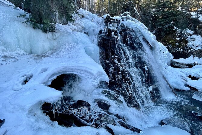 Winter Valley and Forest Hike - Weather and Cancellation Policy