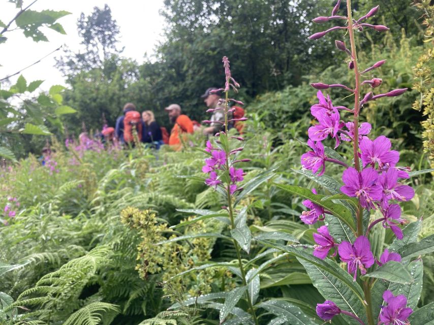 From Seward: 2-hour Wilderness Hiking Tour - Frequently Asked Questions