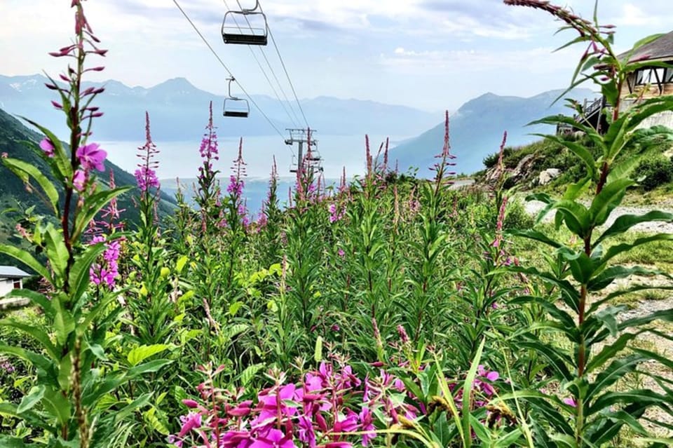 From Seward or Whittier: Guided Craft Tour and Ship Transfer - Scenic Route and Itinerary Breakdown
