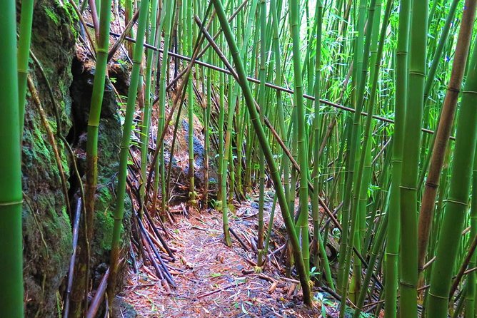 Hawaiian Waterfall Hike - Frequently Asked Questions