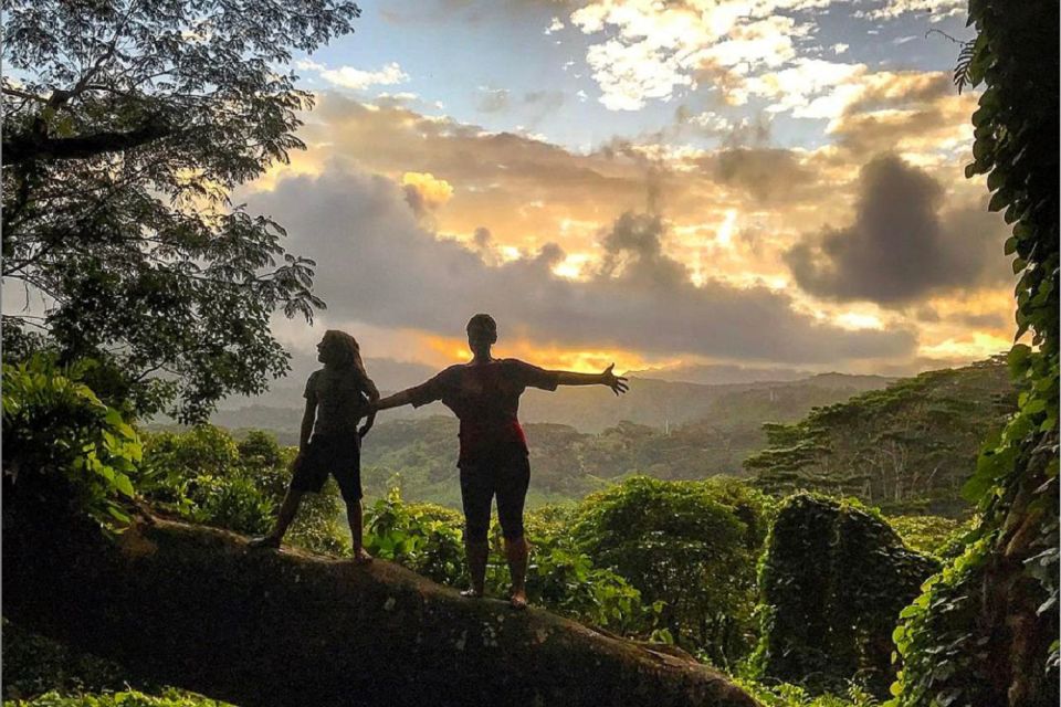 Kauai: Half-Day Kauai Adventure - Why This Tour Might Be Perfect for You