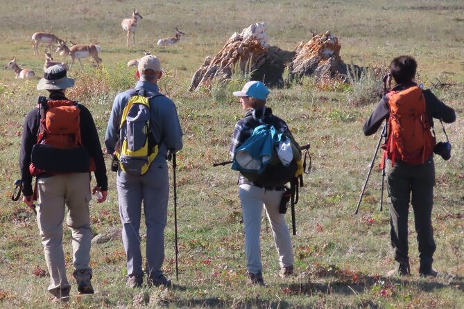 Lamar Valley Safari Hiking Tour with Lunch - FAQ