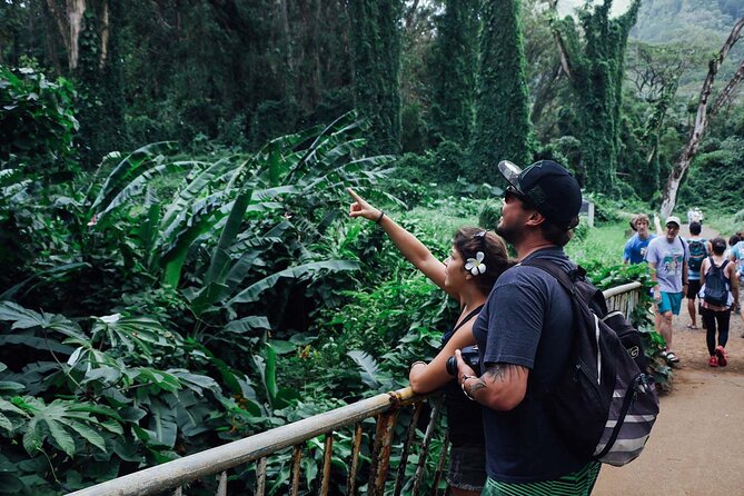 Manoa Waterfall Hike From Waikiki With Healthy Lunch Included - FAQ