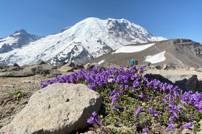 Mount Rainier Day Hike - Who Will Love This Tour?