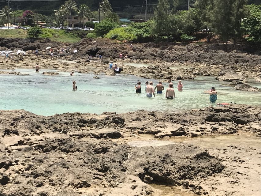 Oahu: Manoa Falls Hike and east side beach day - FAQ: Your Questions About the Oahu: Manoa Falls Hike and Beach Day