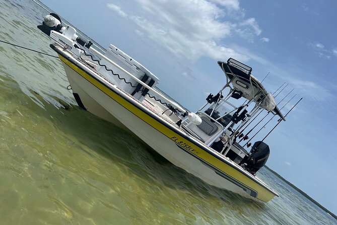 Private Fishing Charter in Tampa - Analyzing the Value and Cost