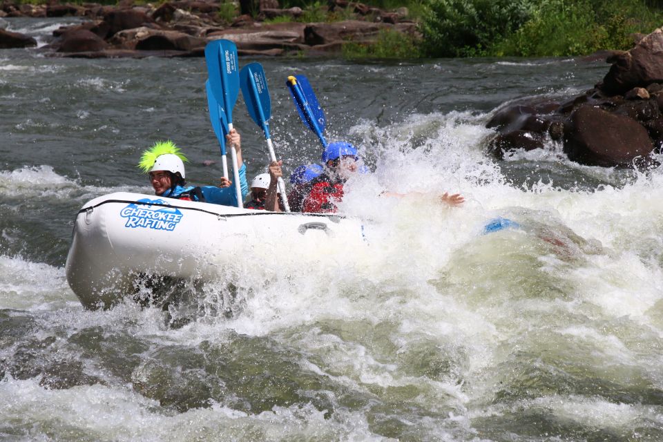 Private / High Adventure Whitewater Rafting Trip - Who Is This Trip Best For?