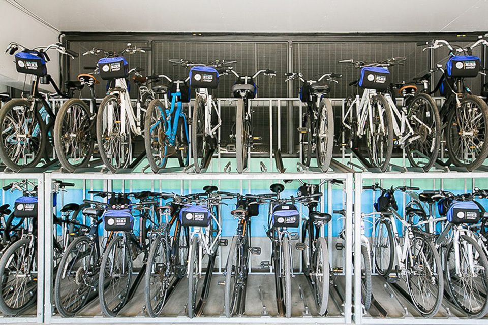 Santa Monica: Full Day Bike Rental - Who Should Consider This Bike Rental?