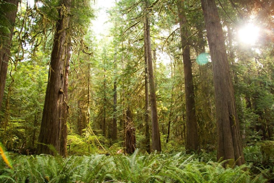 Seattle: Olympic National Park Small-Group Tour - Frequently Asked Questions