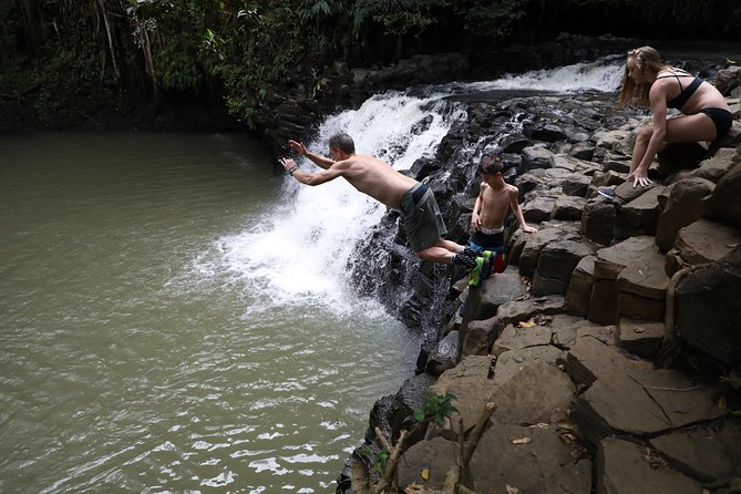 Small Group Waterfall and Rainforest Hiking Adventure on Maui - What Makes This Tour Special?