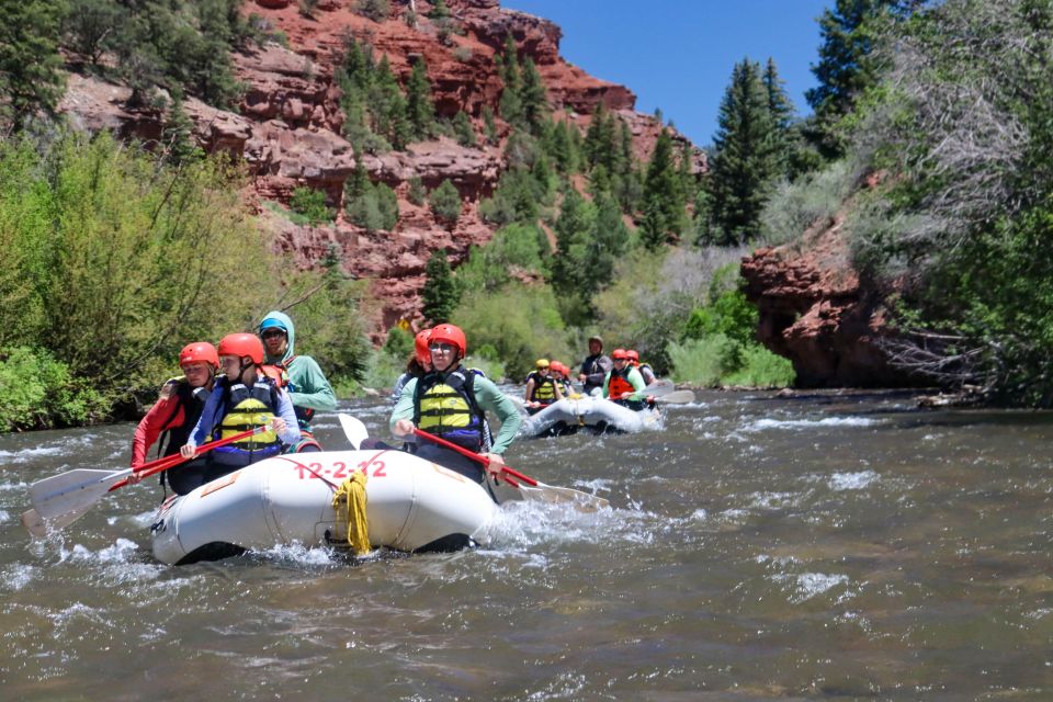 Telluride Morning Half Day Rafting Trip - San Miguel River - The Safety and Convenience