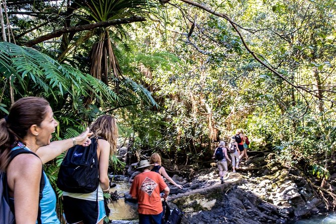 Waterfall & Rainforest Hiking Adventure with Hotel Pickup - The Sum Up