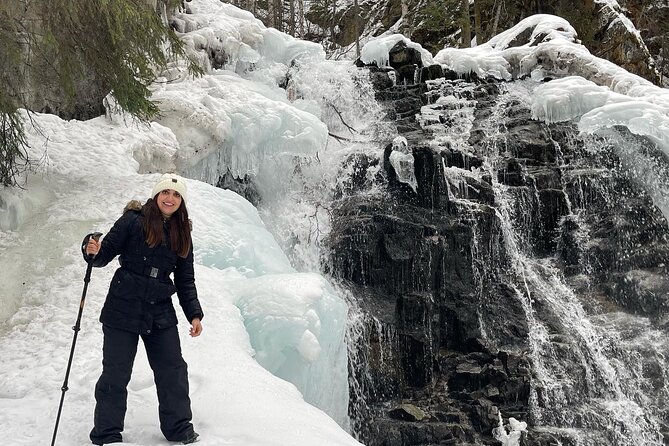 Winter Valley and Forest Hike - Summary: Who Is This Tour For?