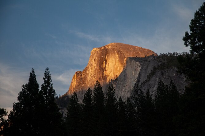 Yosemite Full Day Private Tour and Hike - References