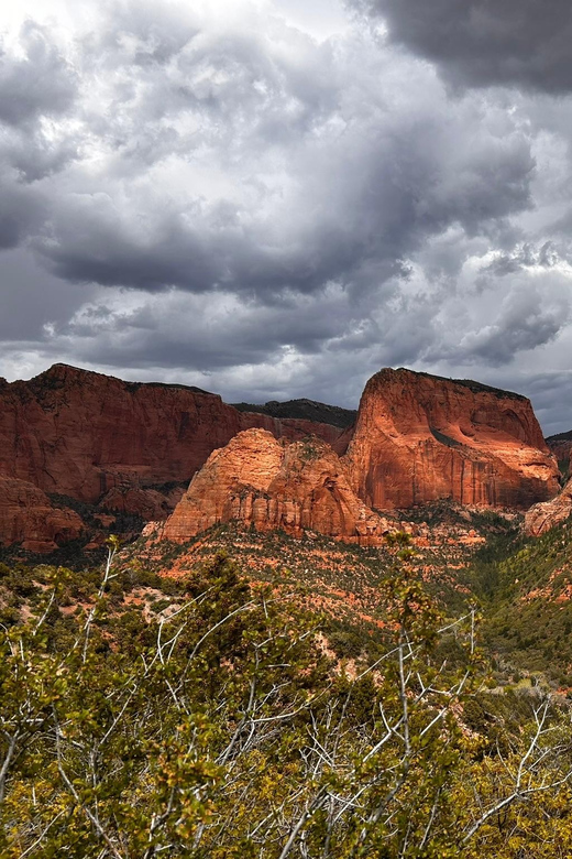 Zion National Park 5-hour Tour: Hike and Drive - The Sum Up: The Best Fit for Laid-Back Zion Lovers