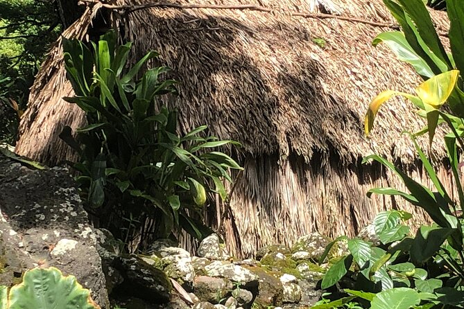 Circle Island tours - swim with turtles,Private & Small Group Tours - The Bottom Line