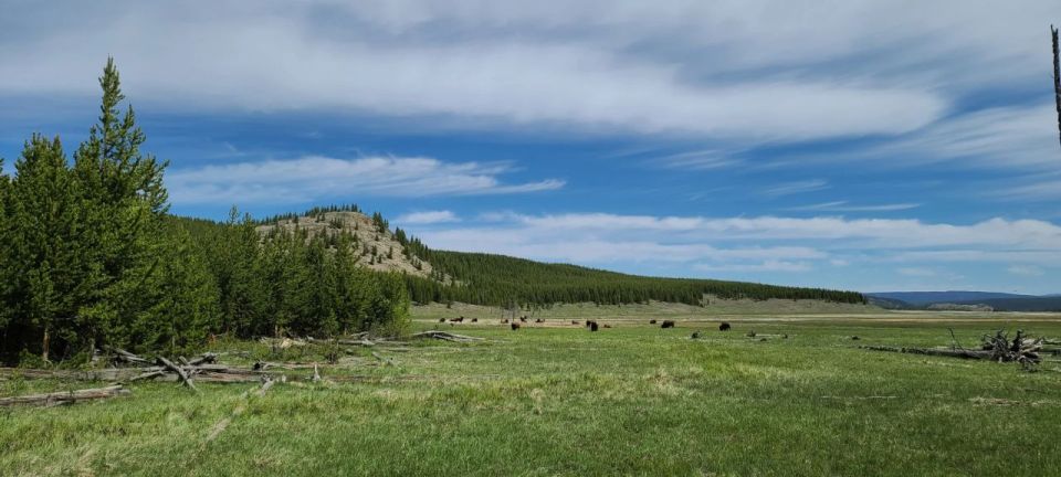 Gardiner: Yellowstone National Park Half Day Guided Hike - Who Will Love This Tour?