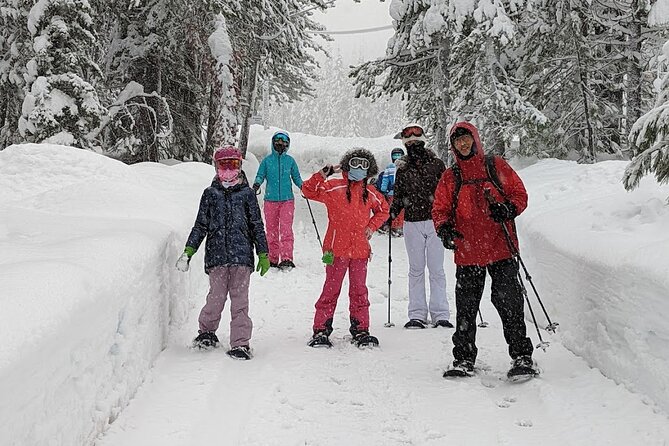 Half Day Snowshoe Hike in Tahoe National Forest - Final Thoughts