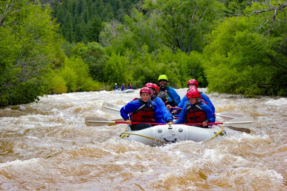 Telluride Morning Half Day Rafting Trip - San Miguel River - What’s Not Included