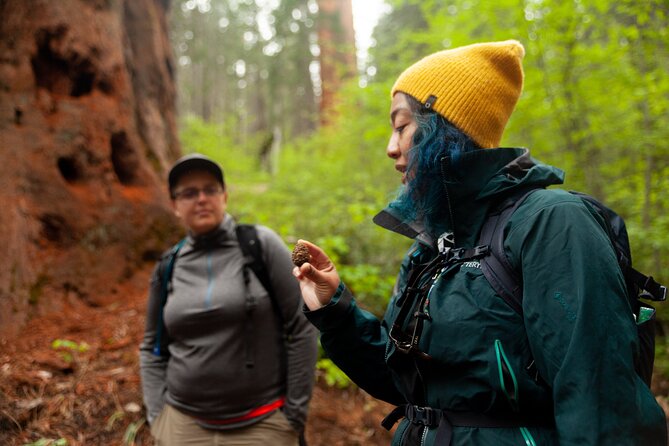 Yosemite Full Day Private Tour and Hike - Who Would Love This Tour?