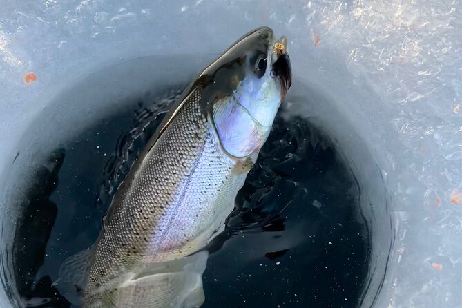 3 Hour Ice Fishing Experience - Final Thoughts