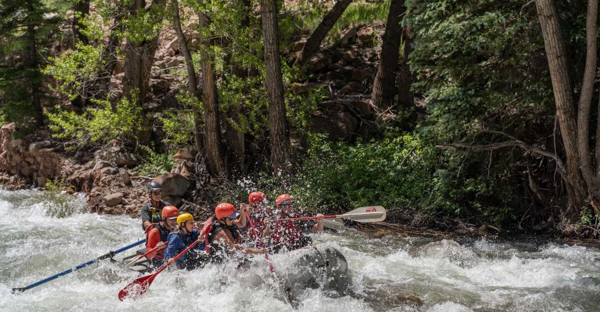 Telluride Morning Half Day Rafting Trip - San Miguel River - The Rapids: Excitement Guaranteed