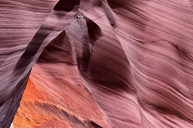 Antelope Canyon Lake Powell Guided Kayaking and Hike Tour - Highlights of the Antelope Canyon Lake Powell Kayaking and Hike Tour