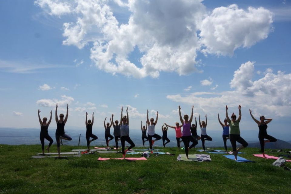 Asheville: Yoga on a Mountain Hike - Why This Tour Stands Out