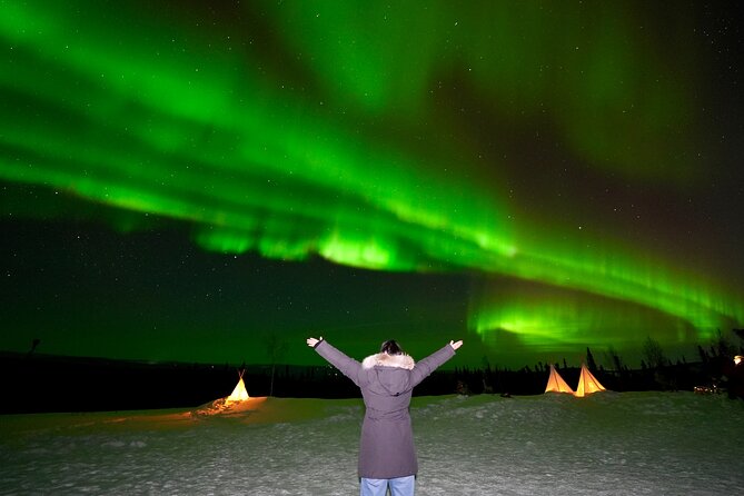 Best Alaskan Cabin Aurora Viewing with Photography @Aurora Camp - What the Aurora Viewing Experience Is Like
