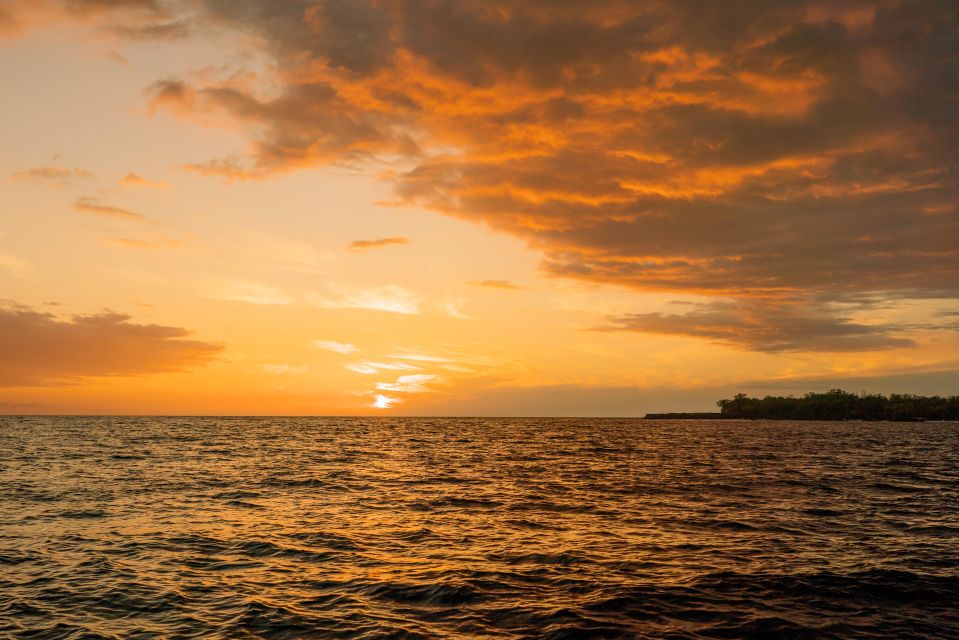 Big Island: Kona Super Raft Sunset Cruise - A Close Look at the Kona Super Raft Sunset Cruise