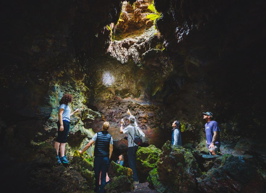 Big Island: Off the Beaten Path Volcano Crater Hike - Highlights of the Hualalai Volcano Crater Hike