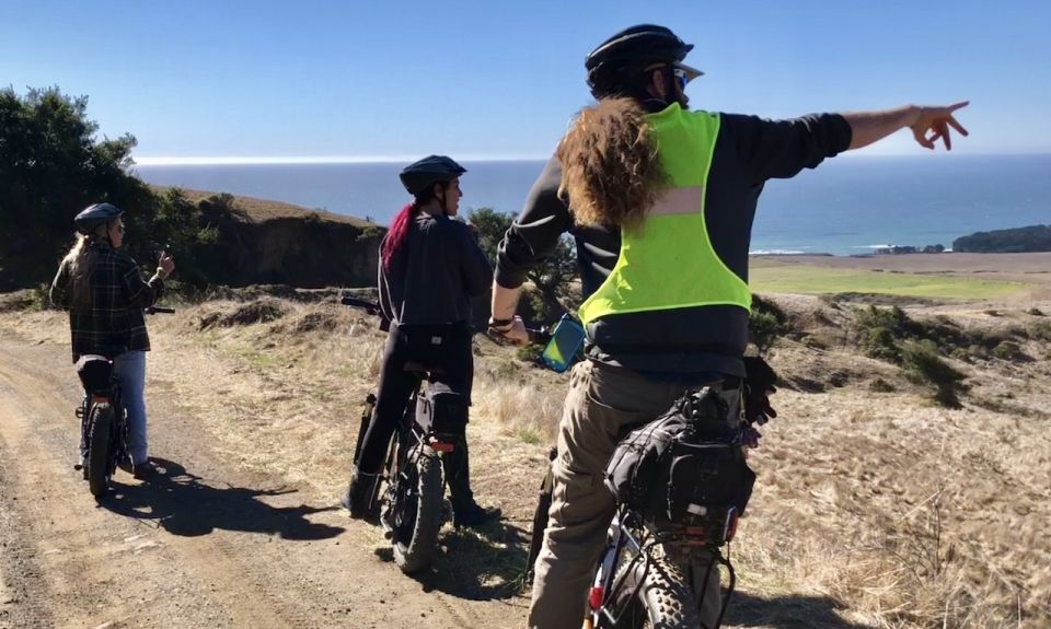 Big Sur's Old Coast Road E-Bike Tour - Highlights of the Big Sur Old Coast Road E-Bike Tour