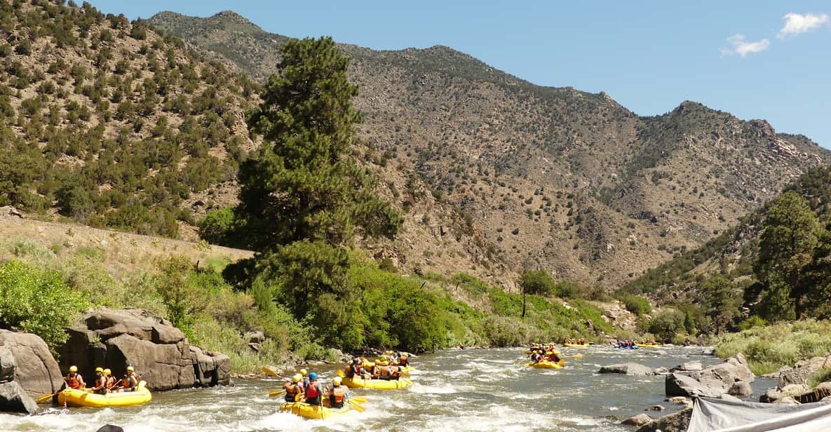 Cañon City: Bighorn Sheep Canyon Guided Rafting Adventure - Highlights
