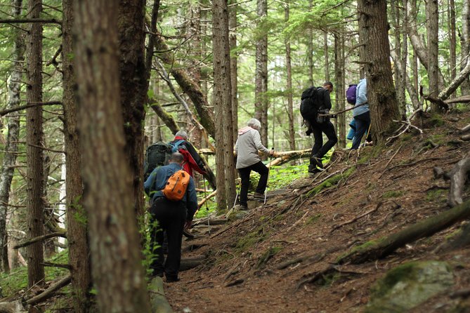 Chilkat Inlet Coastal Hike in Haines - An In-Depth Look at the Chilkat Inlet Coastal Hike Experience