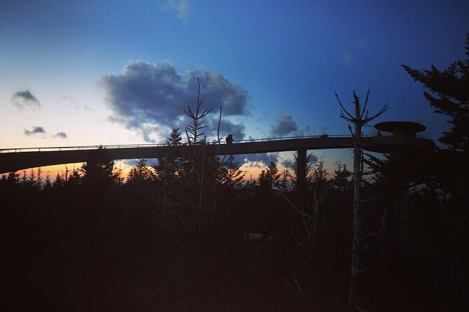Clingmans Dome Hike - Highlights of the Clingmans Dome Hike