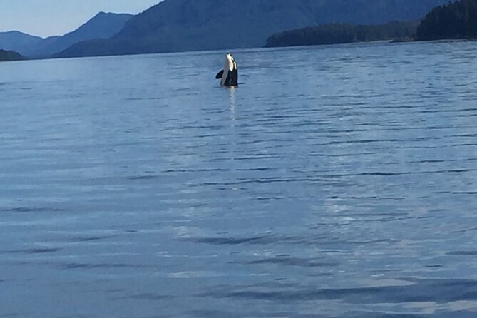Fishing Whale Watching Hoonah Alaska - Highlights
