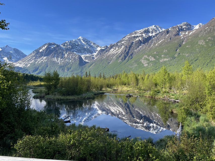 From Anchorage: Valley and Forest Hike with Naturalist Guide - From Anchorage: Valley and Forest Hike with Naturalist Guide — An In-Depth Look
