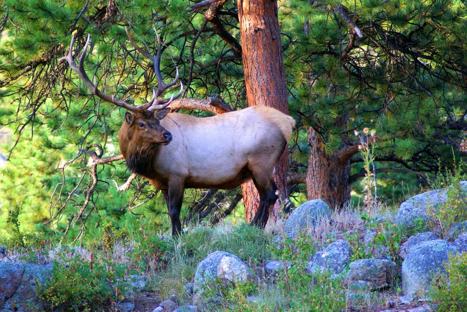From Denver: Hike the Rockies Tour - Highlights