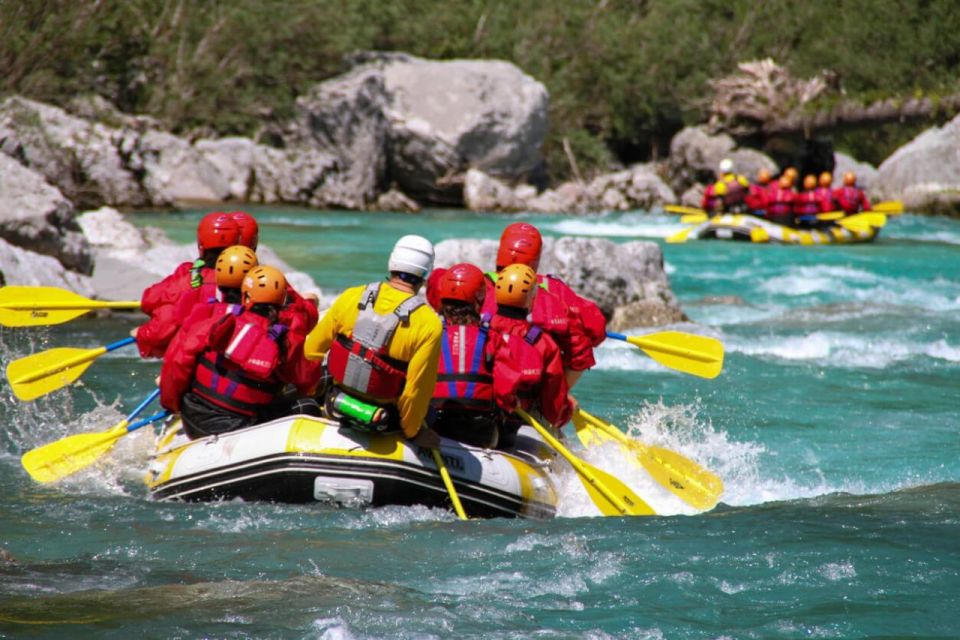 From Gardiner: Yellowstone River Whitewater Rafting & Lunch - Highlights