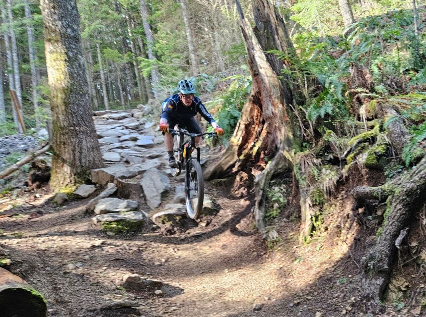 From Seattle: Full Day All-Inclusive Mountain Bike Tour - Highlights of the Full Day Mountain Bike Tour