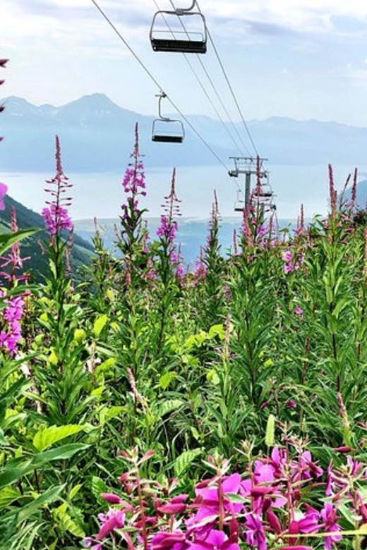 From Seward or Whittier: Guided Craft Tour and Ship Transfer - The Craft Beverage Experience