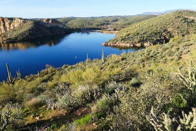 Guided Hike: Saguaro Lake View - Highlights of the Saguaro Lake View Hike