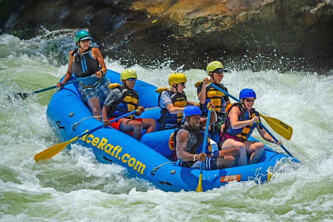 Half Day New River Gorge Whitewater Rafting - Highlights of the Half Day New River Gorge Whitewater Rafting Tour
