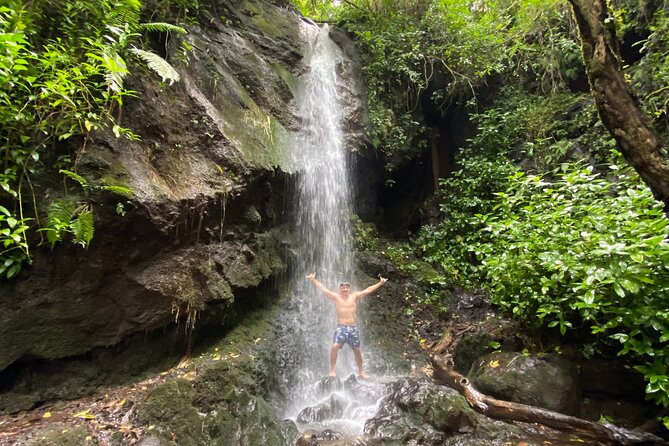 Half-Day Waterfall Tour - Hike, Scenic, Food and Photo - Highlights of the Half-Day Waterfall Tour