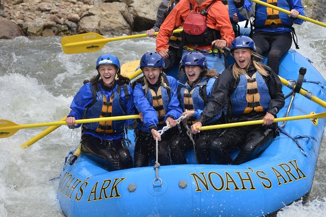 Half-Day Whitewater Rafting in Browns Canyon - Key Highlights of the Browns Canyon Whitewater Tour