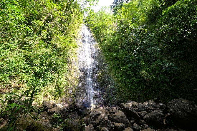Hawaiian Waterfall Hike - A Walk Through Paradise: The Hawaiian Waterfall Hike