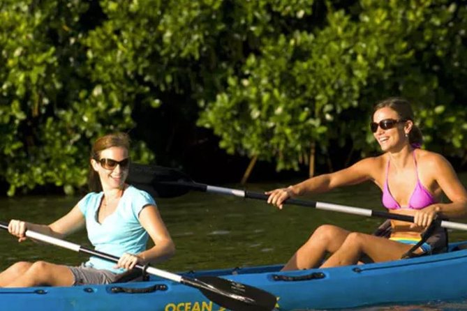 Hidden Valley Falls Kayak and Kauai Hike Adventure - Exploring What to Expect on the Tour